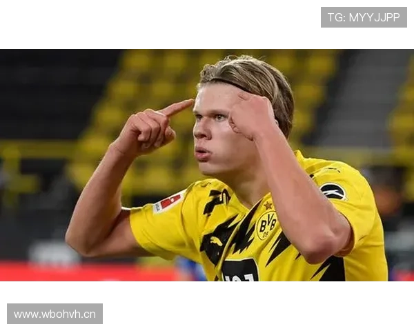 佩莱格里诺梦想国脚哈兰德典型9号 佩莱格里诺梦想国脚哈兰德典型9号